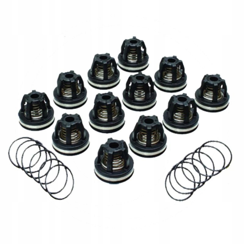 Reverberi Sada ventilů 6702114