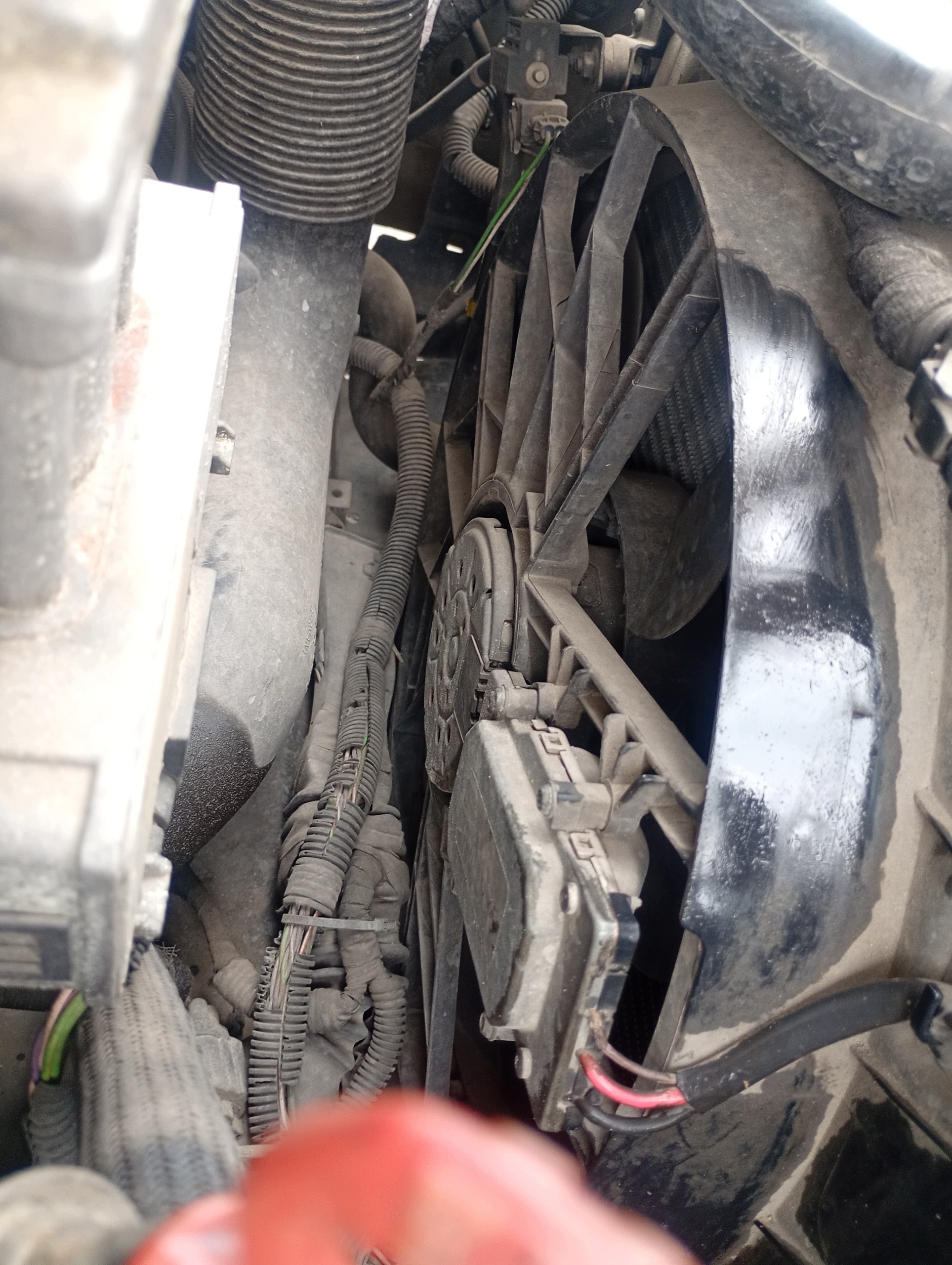 ventola motore radiatore VOLVO S80 1 e 98-06 2.9