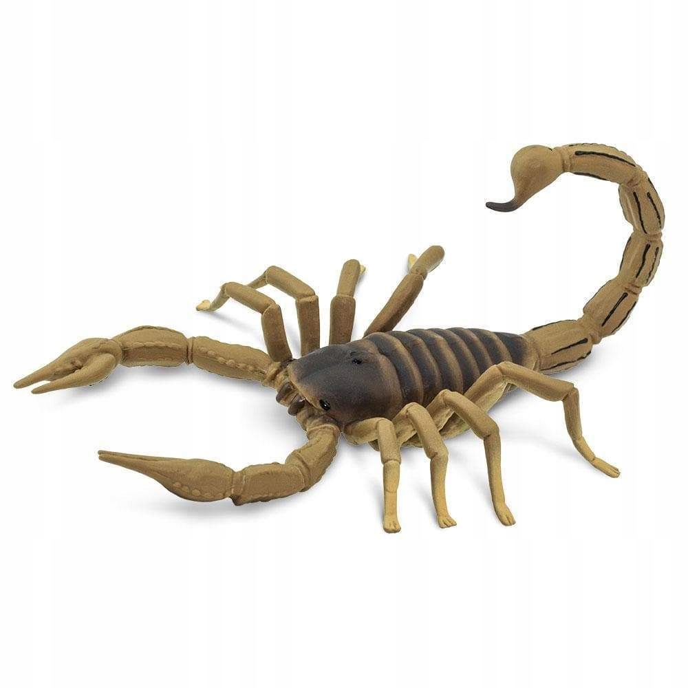 

Skorpion - Scorpion - Safari Ltd. - 100260