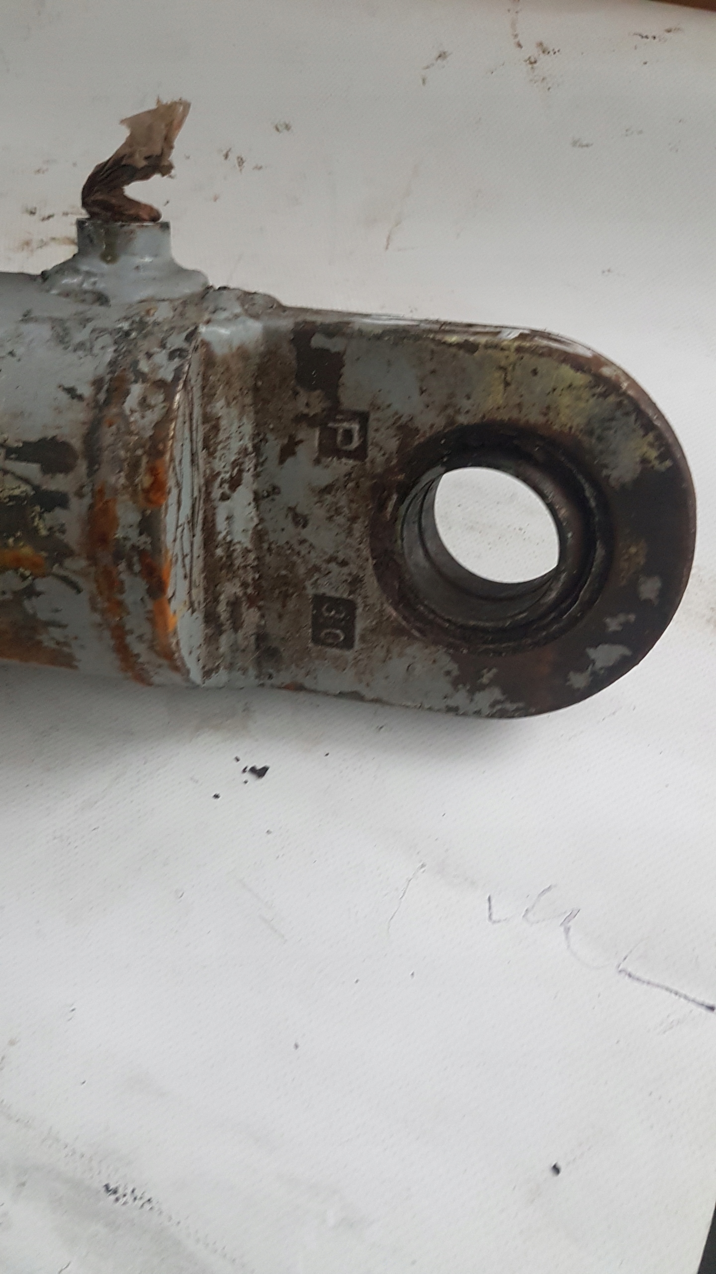 Af456b13443792dfa84bb8c5ee90