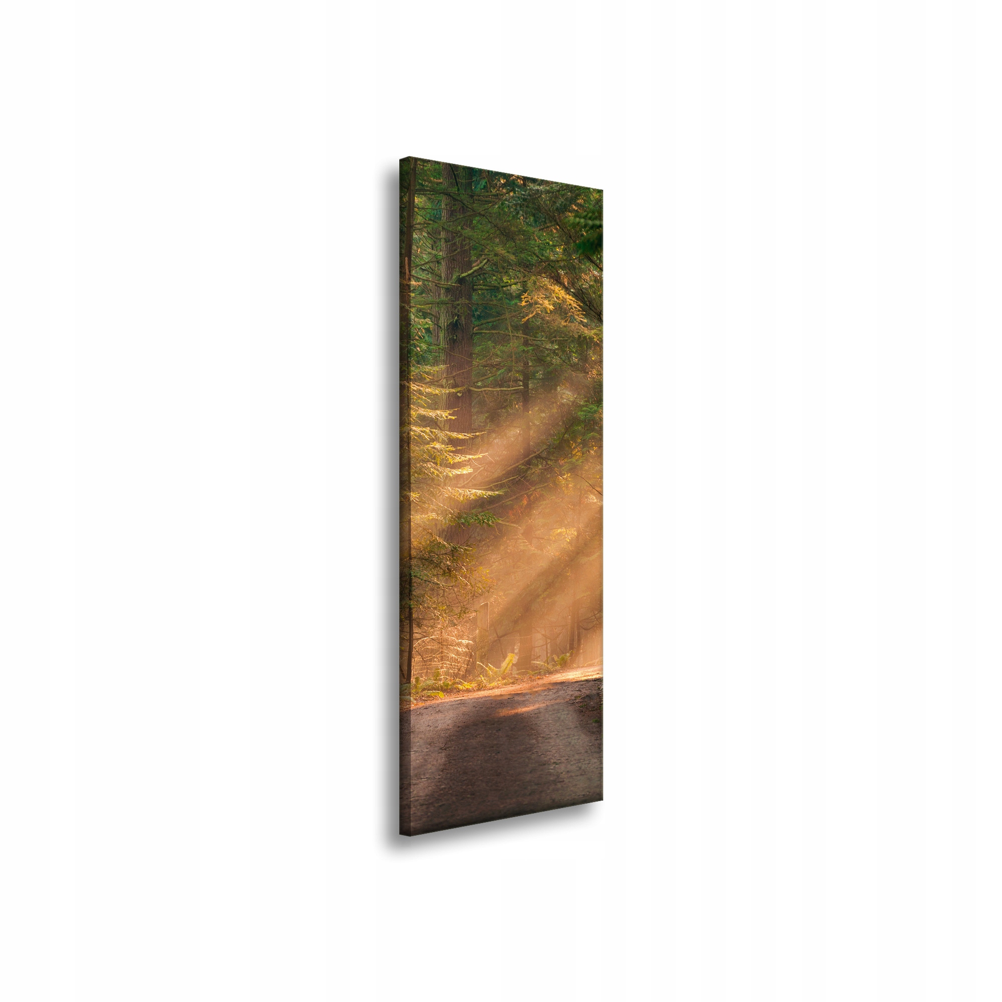 Obraz na plátně Stezka v lese Stromy Příroda 40x120 cm