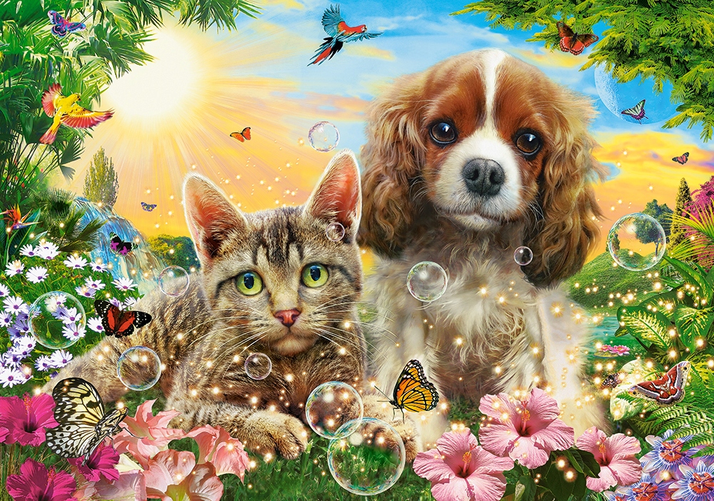 

Puzzle 500 Koty Psy Zwierzęta Kwiaty 9+ Castor
