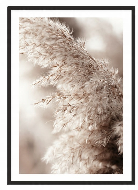 

Obraz Plakat Bez Ramy 50x70 cm Boho P2117 duży