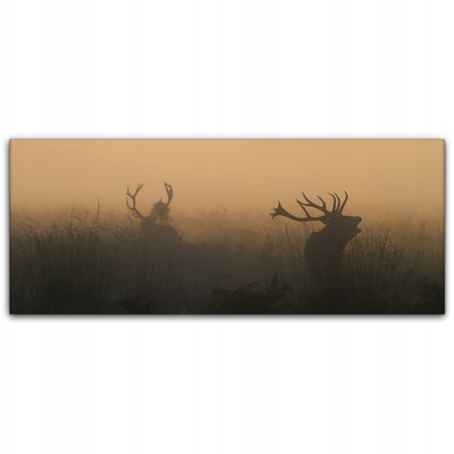 

Canvas na ramie ścienny 125x50 Jelenie Zwierzęta