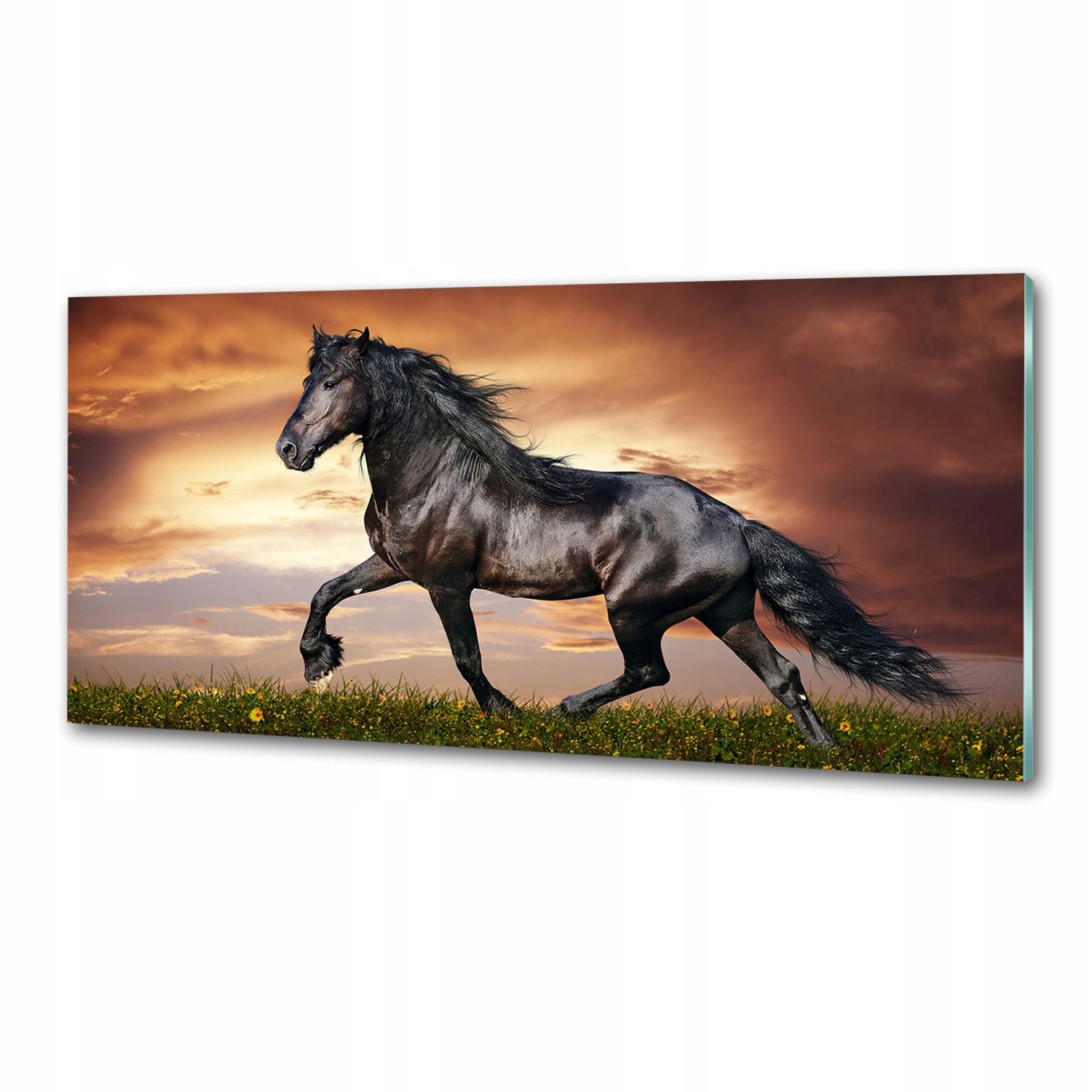Panel do kuchyne Klusací kôň 125 x 50 cm Lepidlo