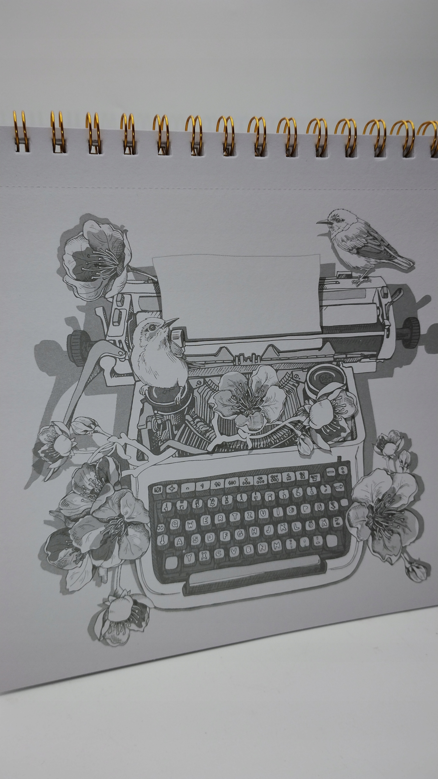 KOLOROWANKA SZKIC DECO TIME 24 ARKUSZE kwiaty 158 Kod producenta 2577771