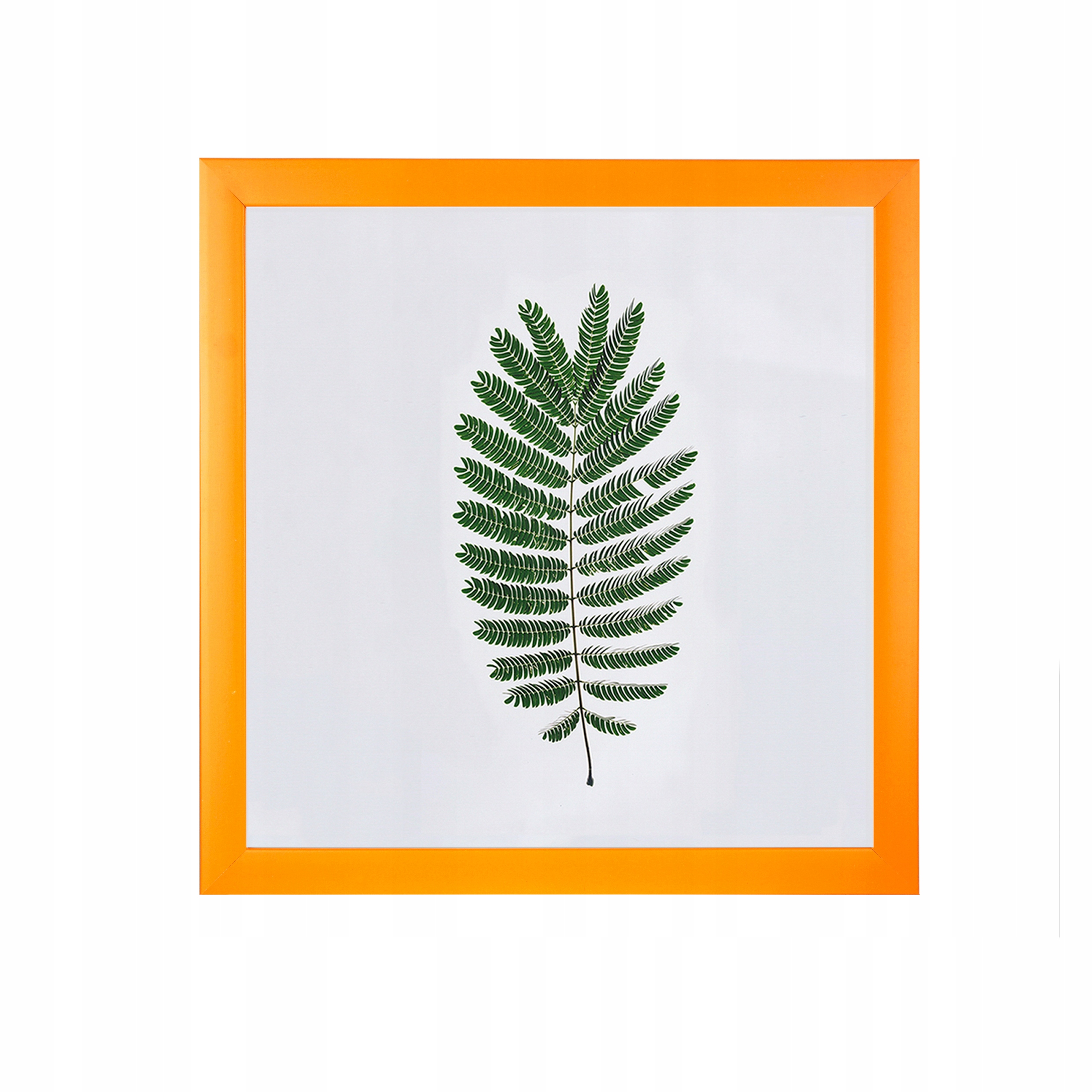 

Ramka na zdjęcia 25x25 Ramki Pomarańczowy