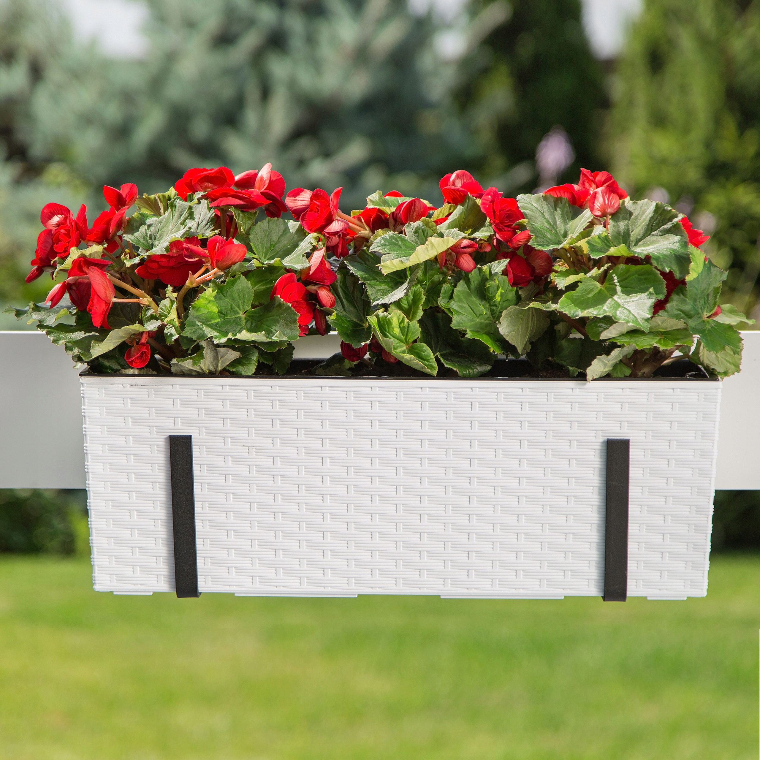 UCHWYT REGULOWANY HAK METALOWY DO SKRZYNKI BALKONOWEJ BEGONIA CZARNY Marka Lamela