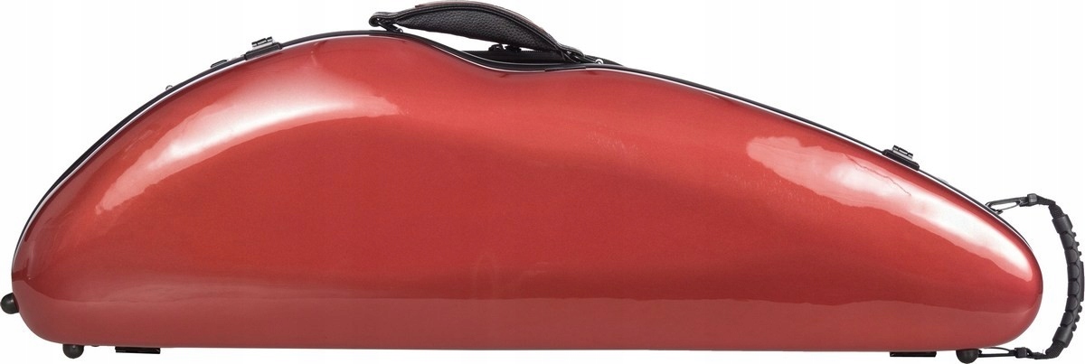 Houslové pouzdro s houslemi S-Flight 4/4 M-case Mi