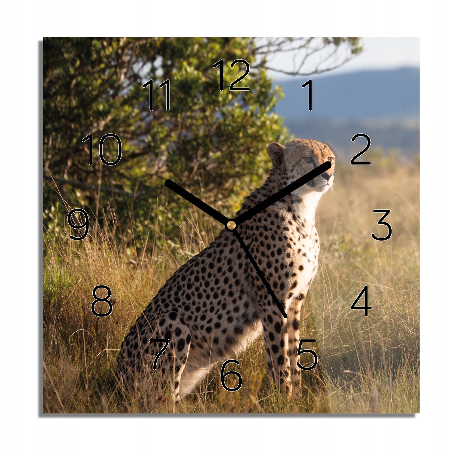 

Gepard drzewa trawa zegar na szkle do kuchni 30x30