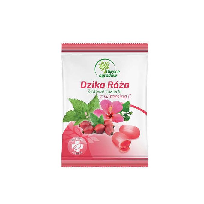 Suplement diety dzika róża cukierki 60 g