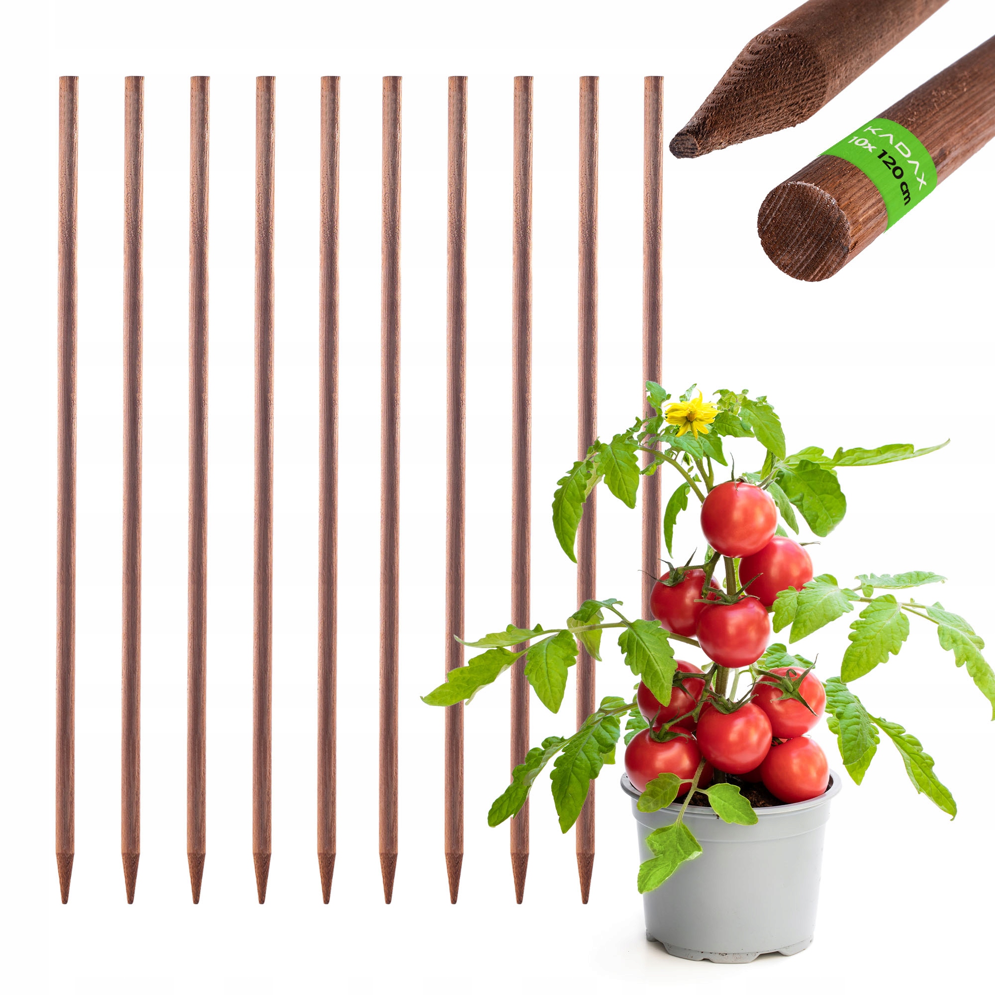 Dřevěné Palíky Impregnovaný Palík 120 cm Podpora Rostlin Hůl 10 Ks