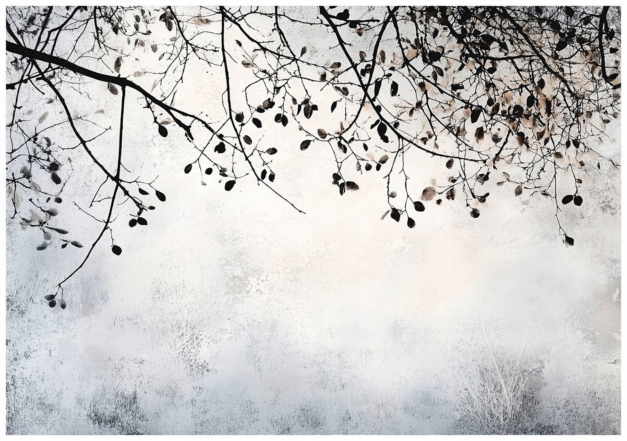 Vliesová fototapeta Zimní minimalismus Lesní harmonie 400x280 lepidlo