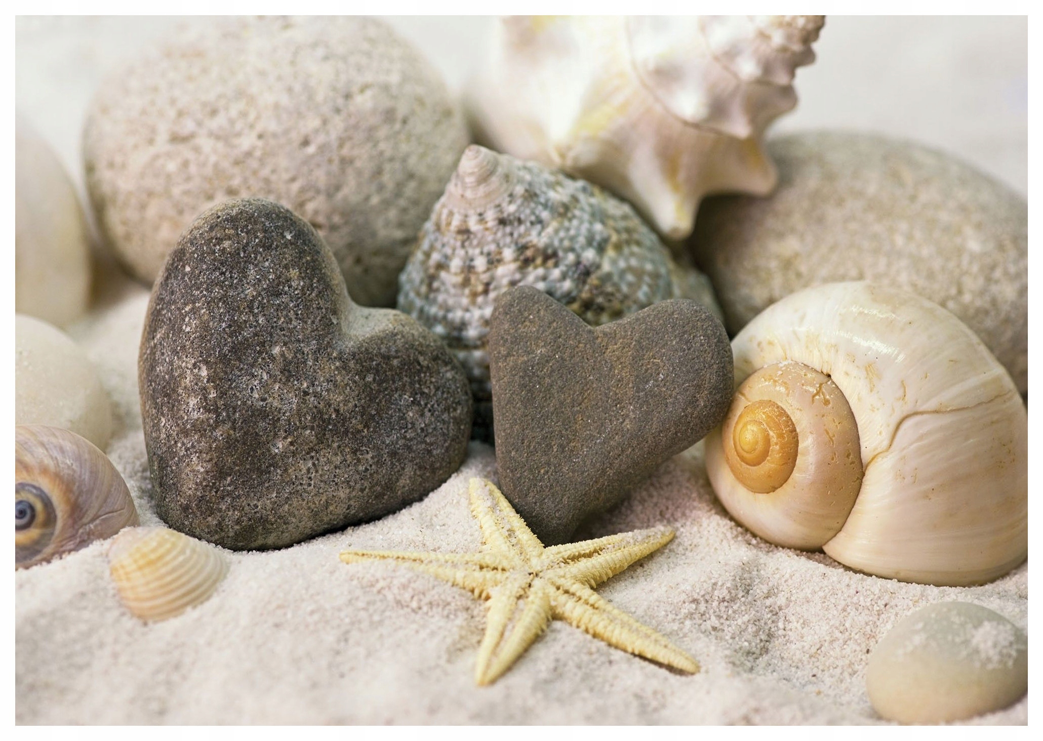 Fototapeta Morská láska na pláži mušle srdce vinylová 254x184 lepidlo