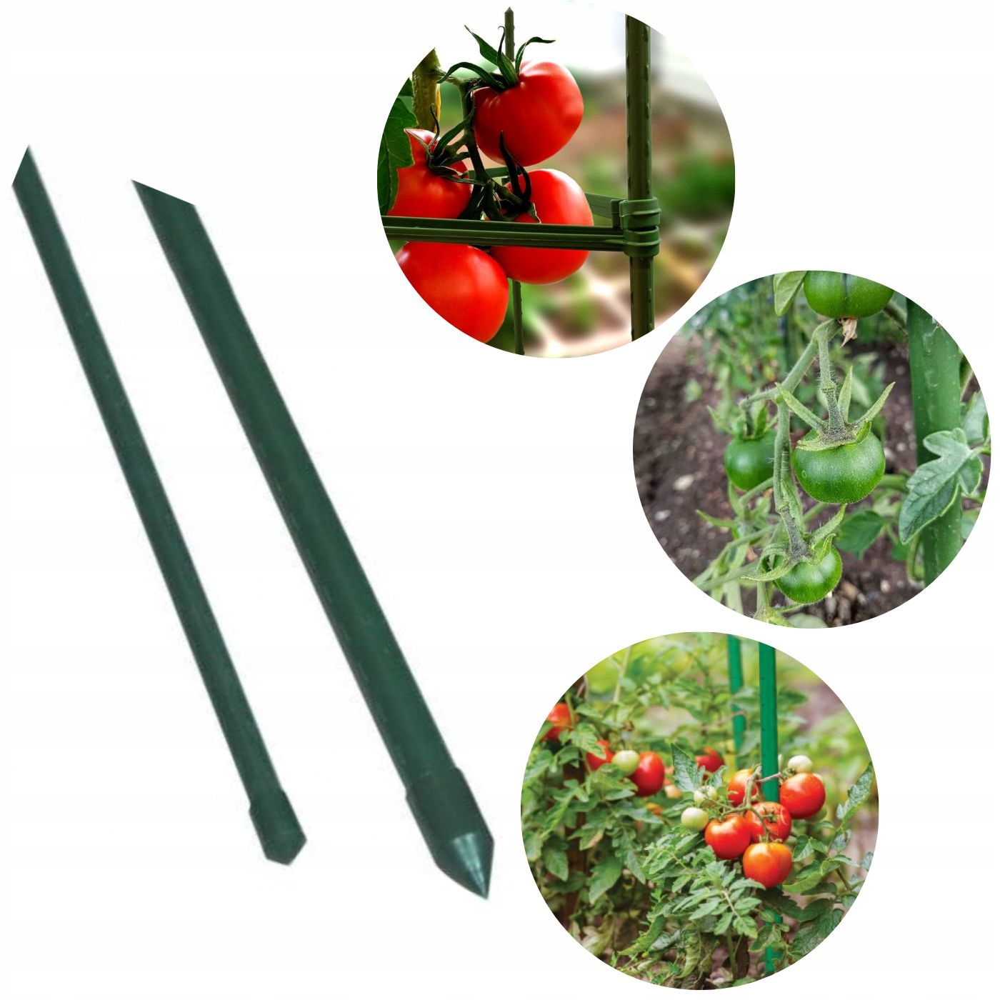 

Tyczka Do Roślin Pomidorów Podpora FI11 90CM