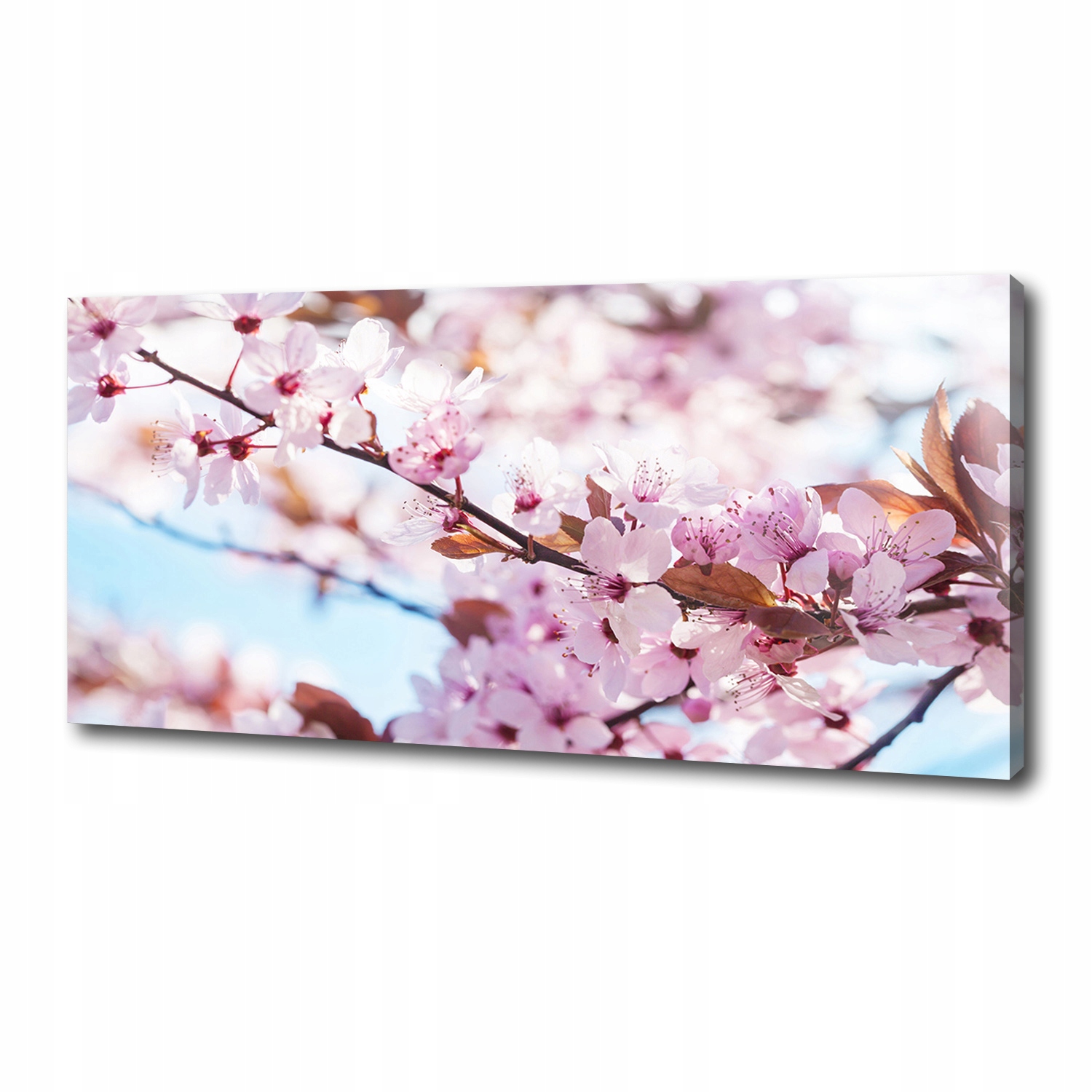 

Foto obraz duży na płótnie Kwiaty wiśni 125x50 cm