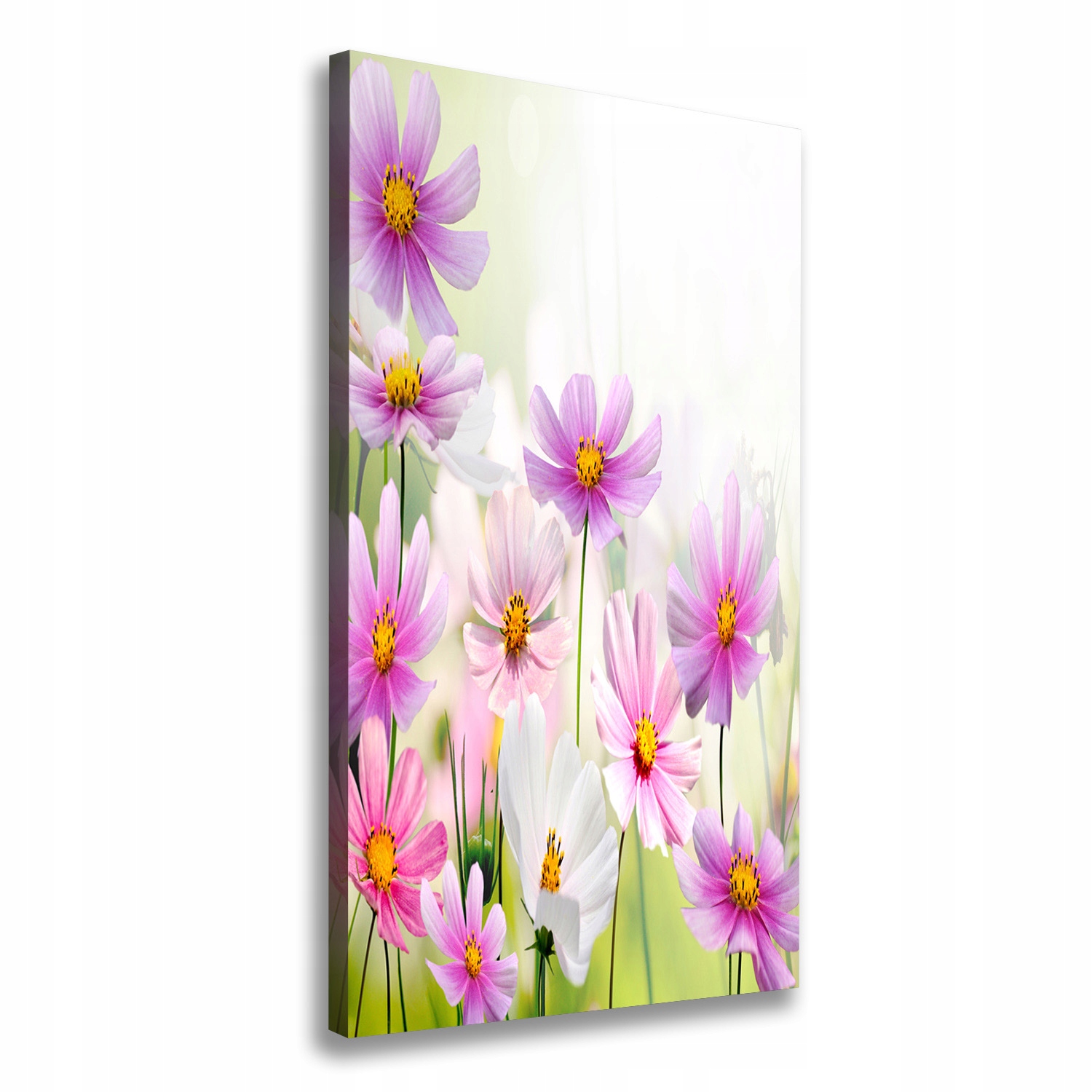 

Foto obraz canvas do salonu Polne kwiaty 70x140