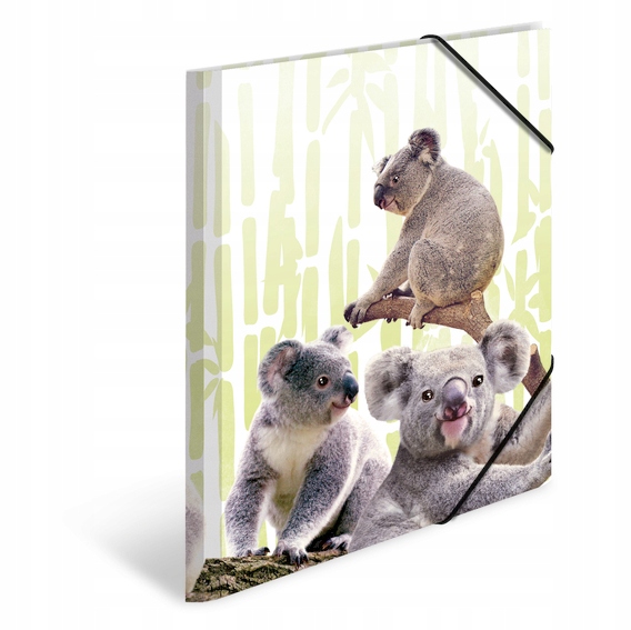 

Teczka plastikowa A4 z gumkami, Koala