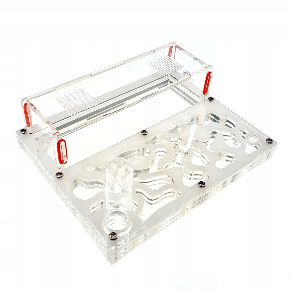 Formikarium Akrylowe L Białe hodowla mrówki AntHunter