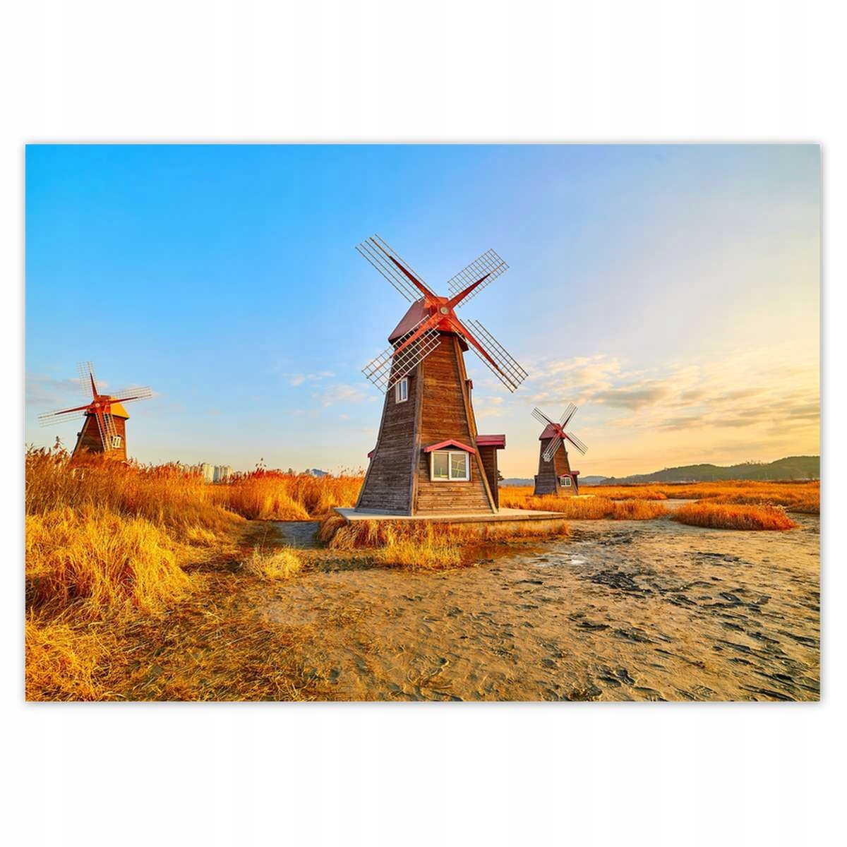 Fototapety 312x219 Drevený veterný mlyn