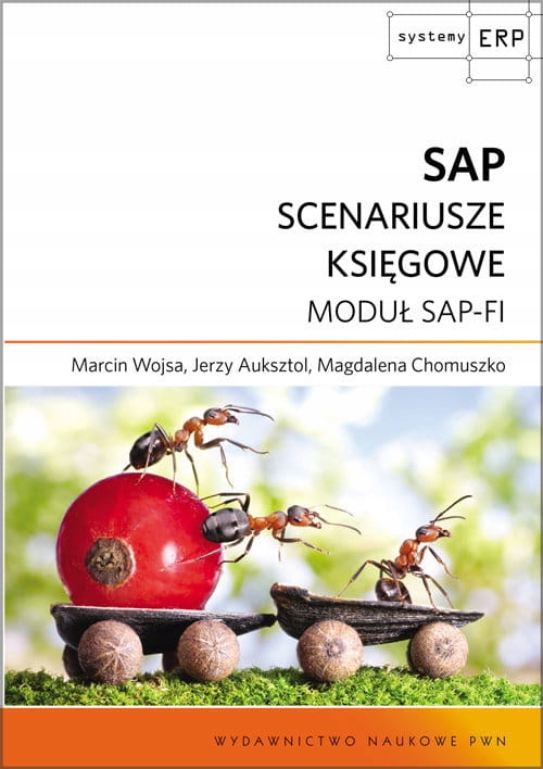 Sap Scenariusze Księgowe