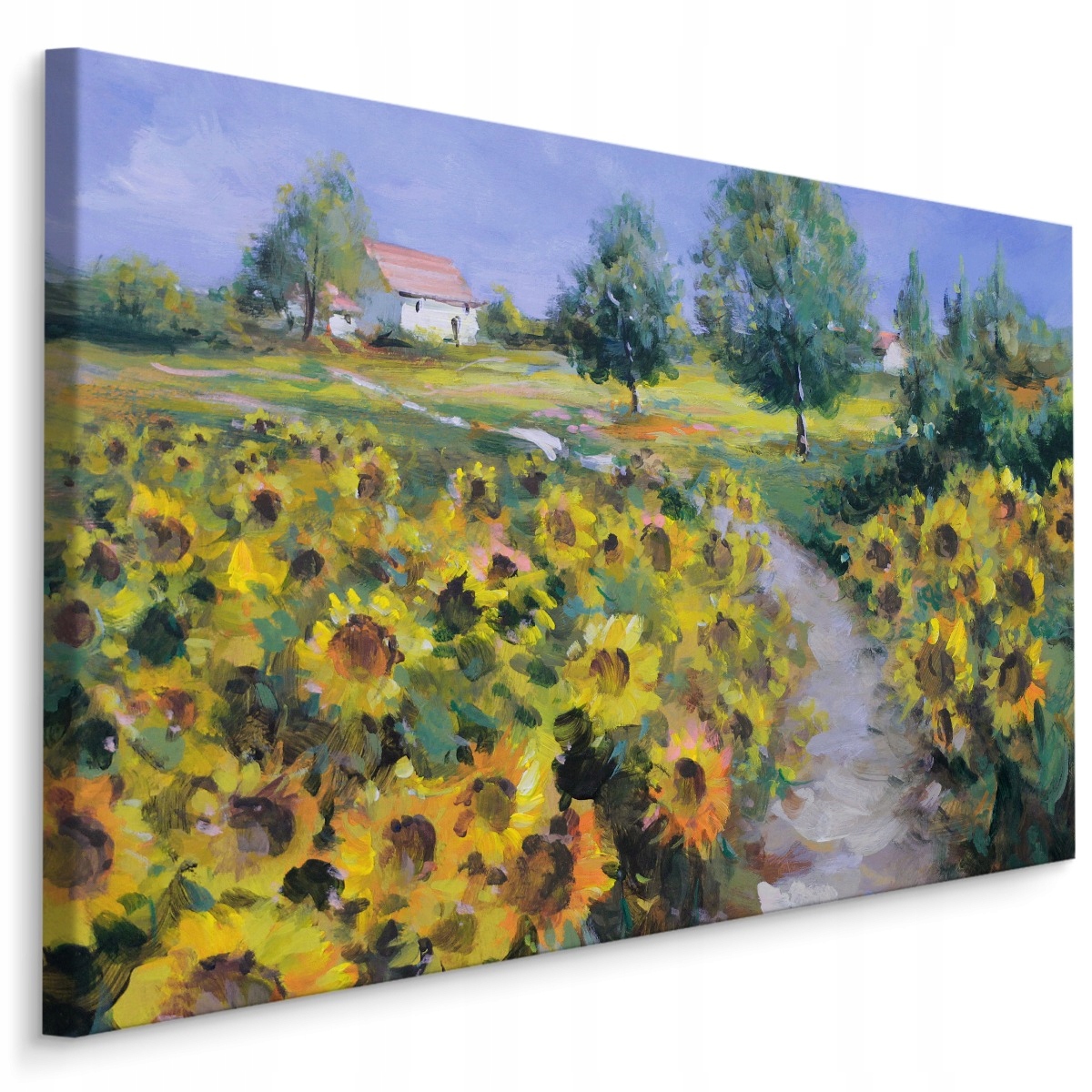 

Obraz Canvas Słoneczniki Natura Pejzaż 3D 70x50