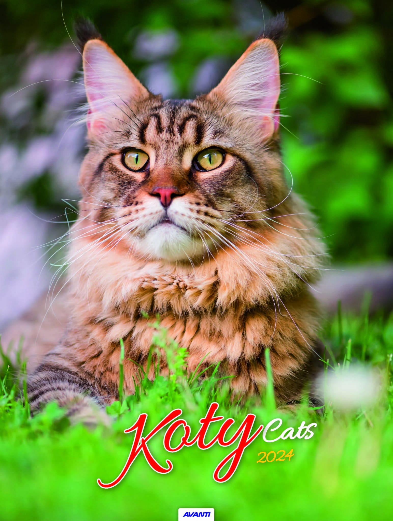 Kalendarz ścienny Koty 2024 Avanti