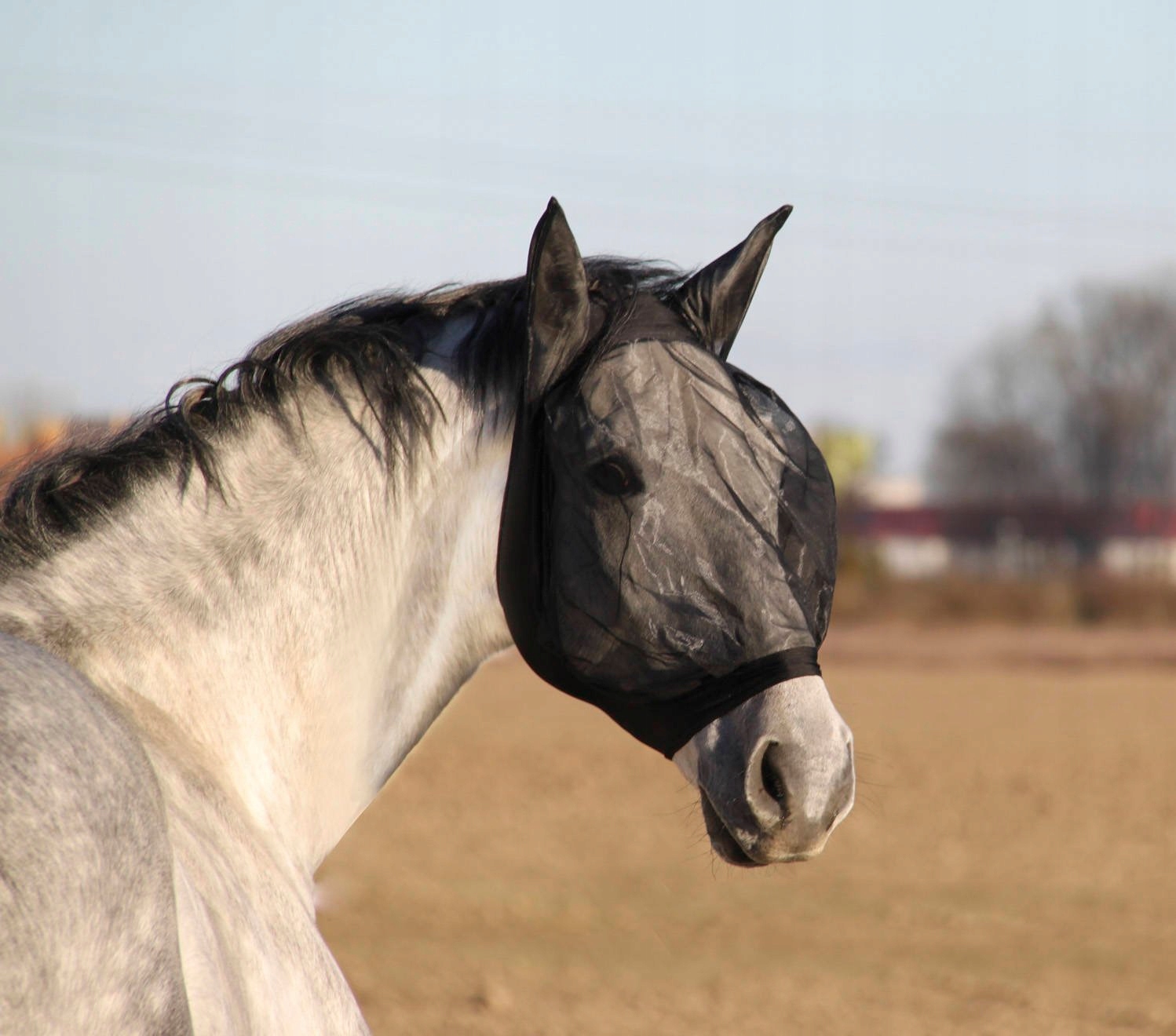 

Maska Dla Konia Przeciw Owadom Na Muchy Roz. Pony