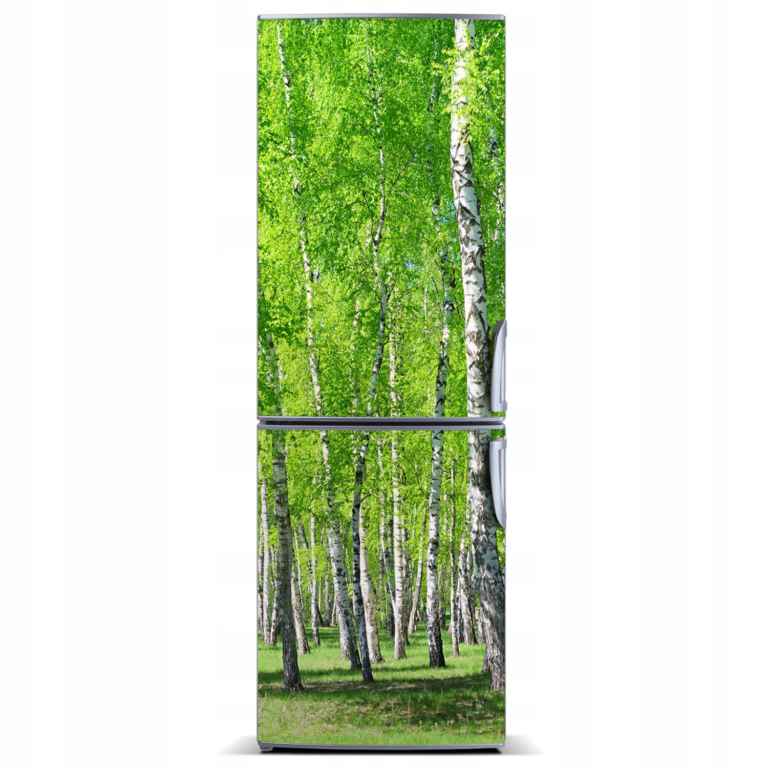 

Magnes na lodówkę magnetyczna Las brzozowy 60x180
