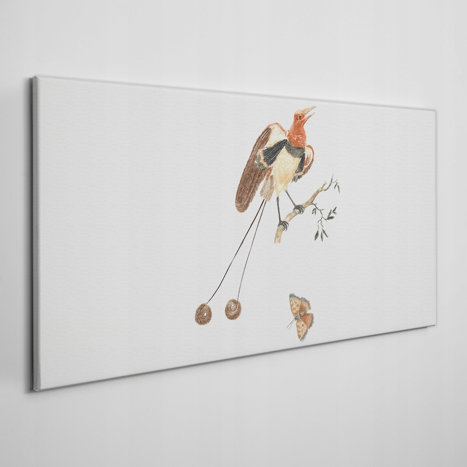 

Obraz na płótnie Zwierzę ptak oddział 100x50 cm