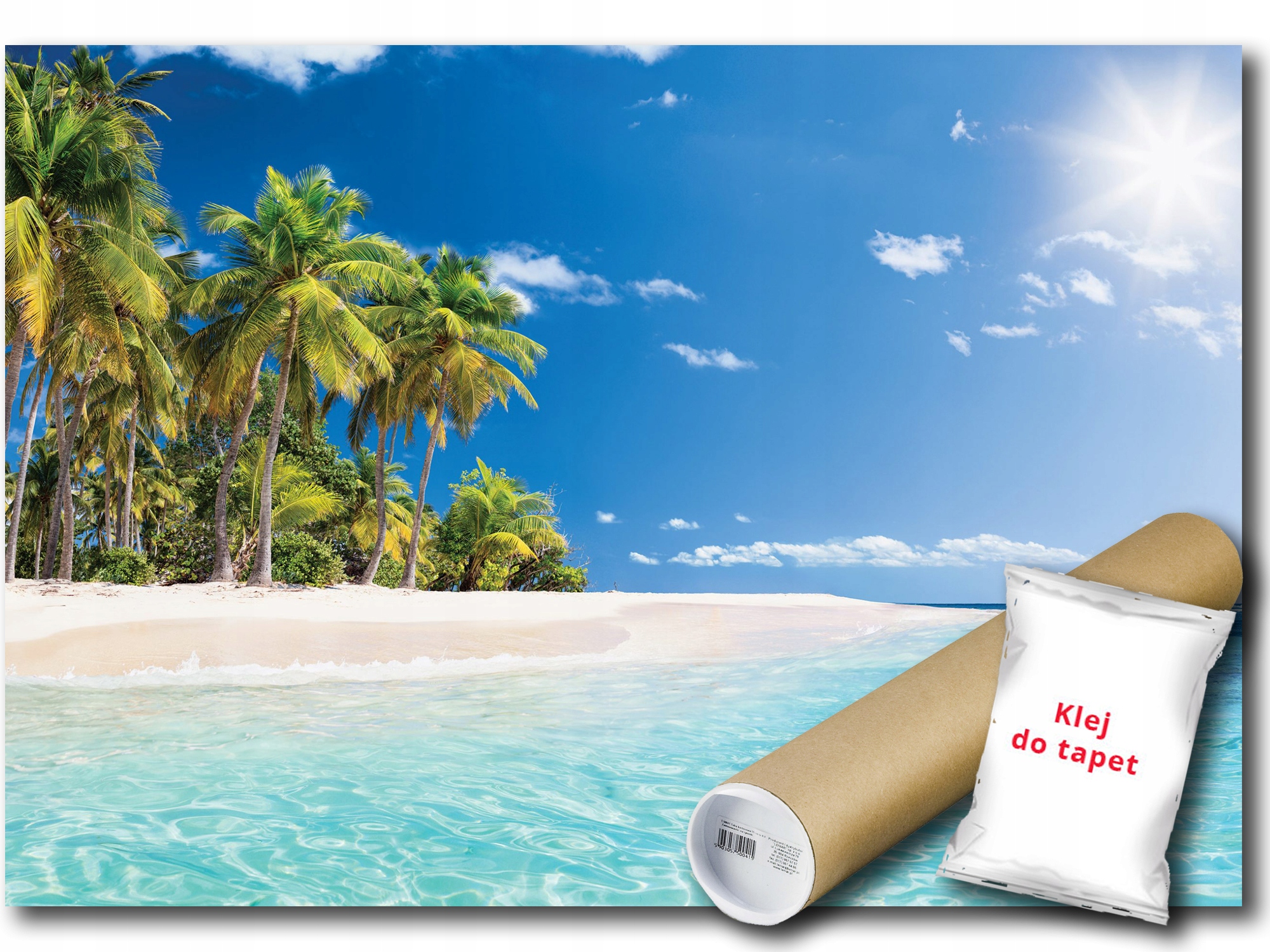 Vinylová Fototapeta Pláž Palmy Oceán 312x219