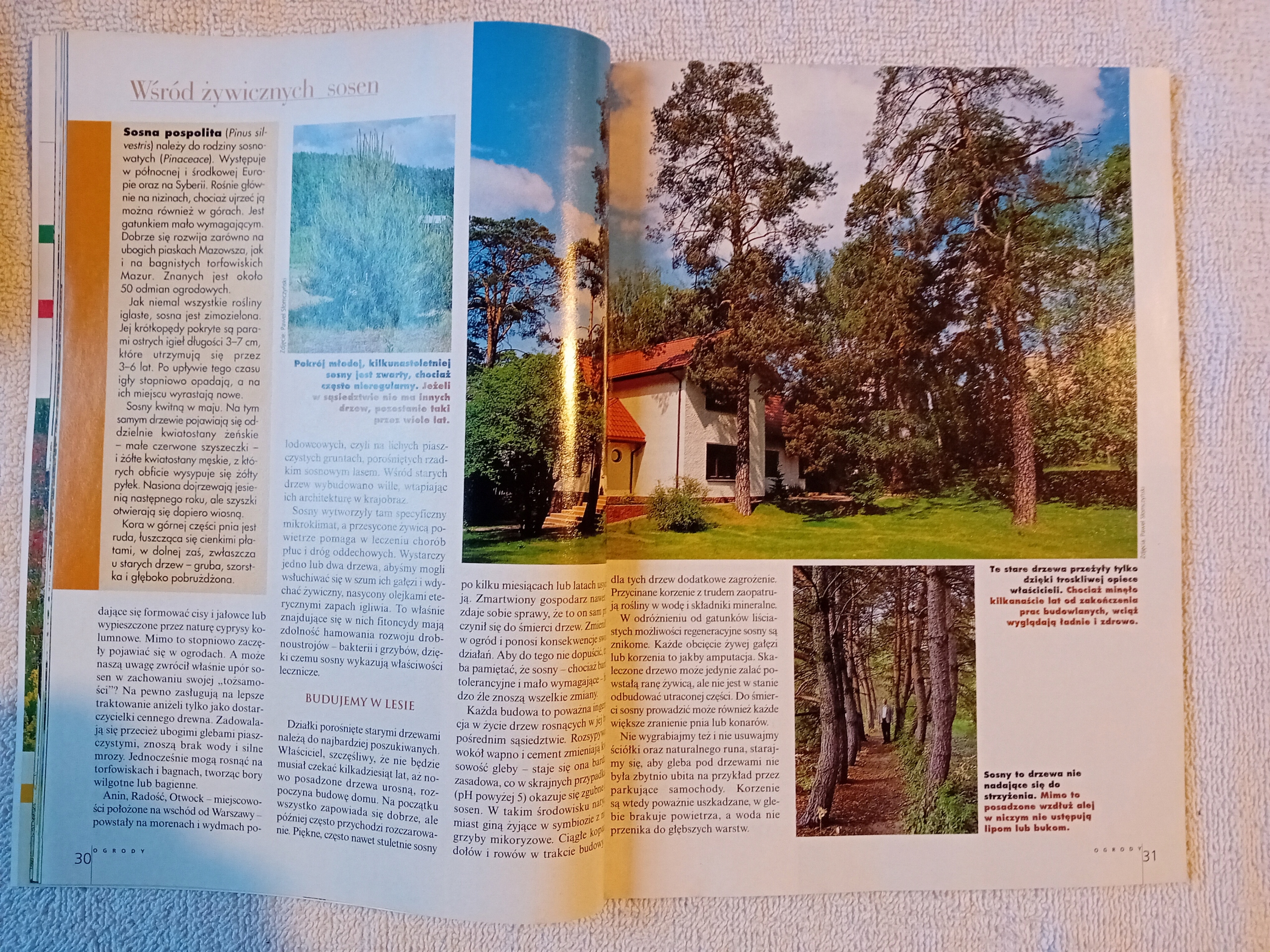 Ogrody. Nr 4 sierpień 1999 r. Numer czasopisma 4