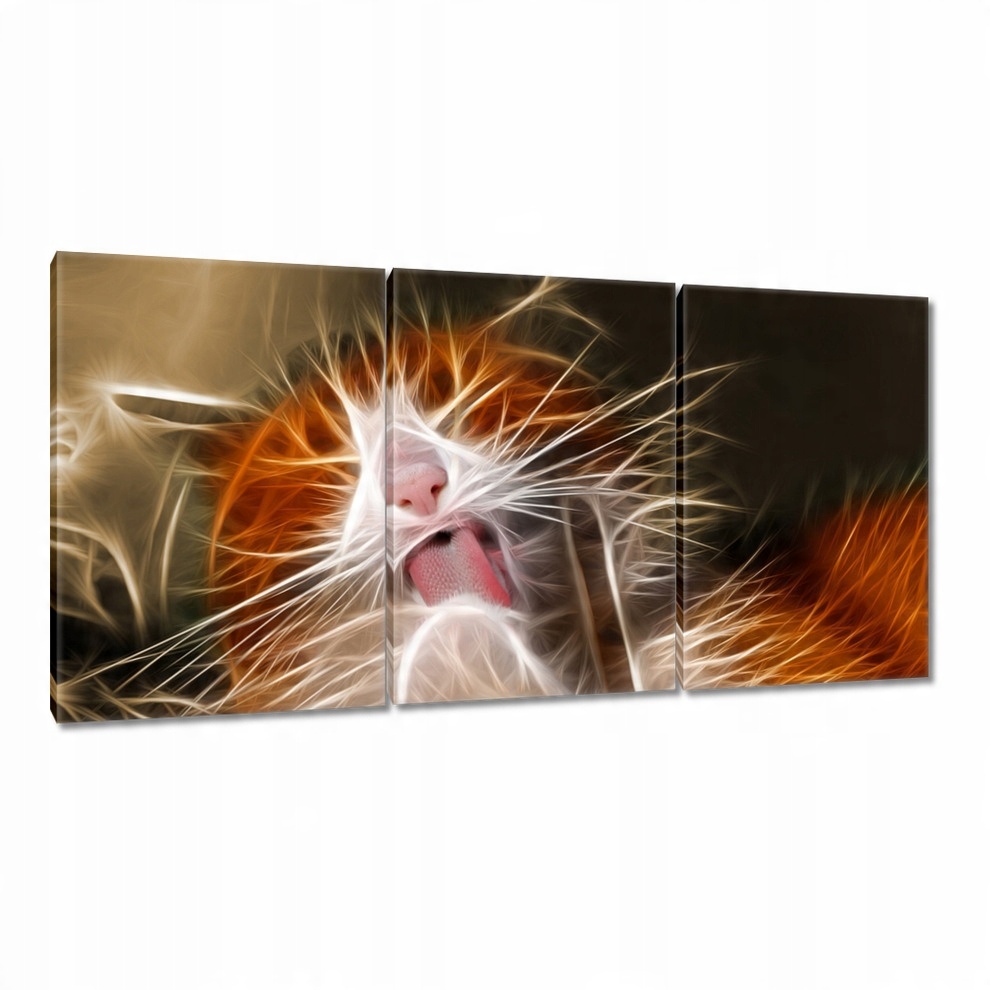 

Obrazy 120x60 Kotek fraktalny