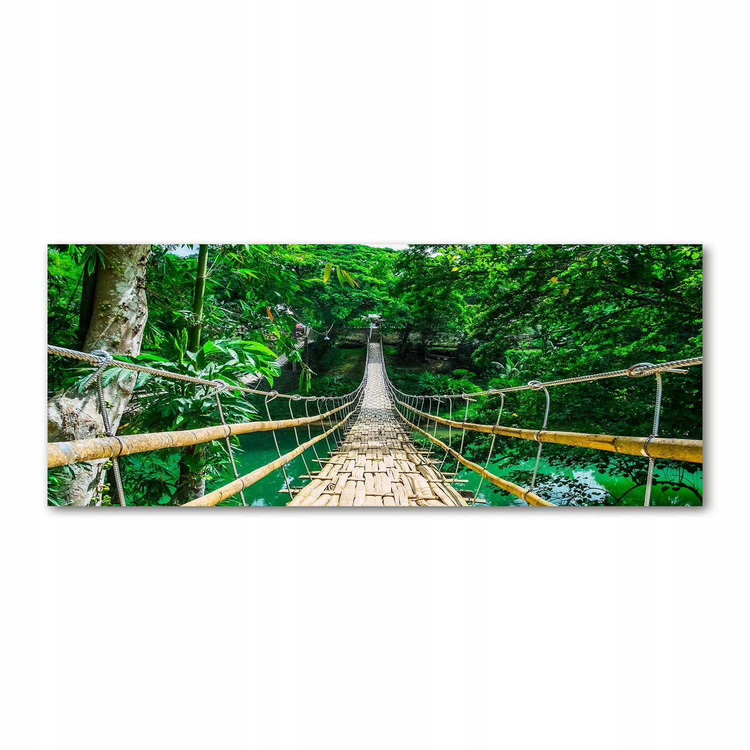 

Foto obraz szkło akryl Most las tropikalny 125x50