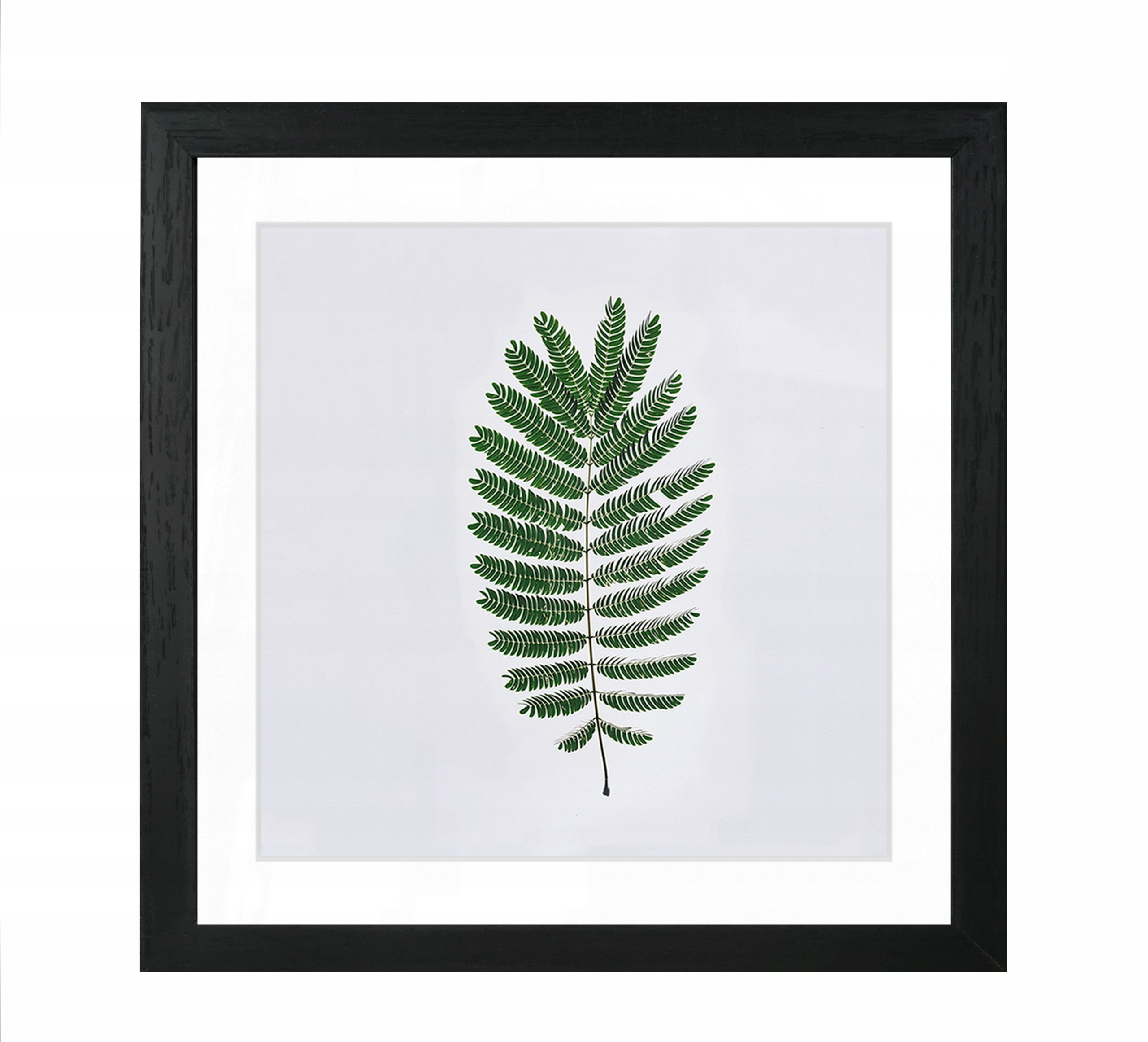 

Ramka Na Zdjęcia 20x20 Passe-partout Ramki Czarna