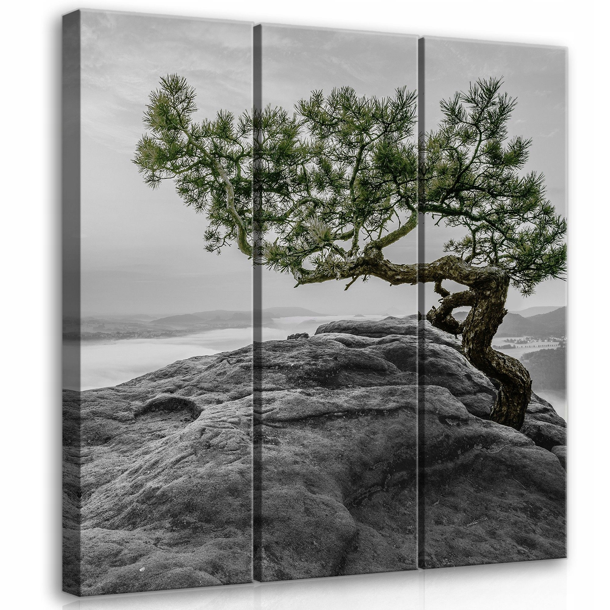 Obraz 90x100 Odolnost Nezlomnost Osamělost Meditace Klid Příroda