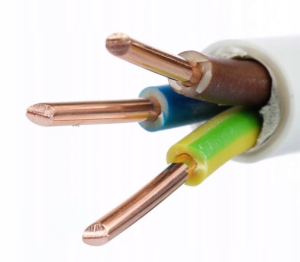 

Przewód kabel Ydy 3x2,5 okrągły 1mb