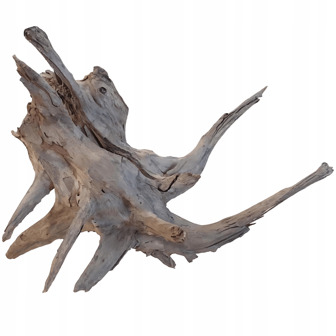 Kmen s kořeny Buddha dekorace do terária Úkryt Akvárium 41-50 cm