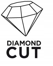 Diamantový kotouč 115 x 22.2 x 5 mm, turbo