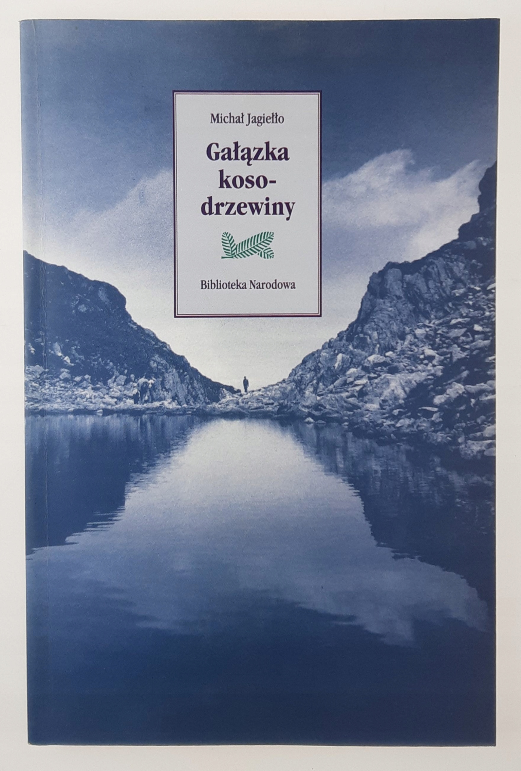 Gałązka kosodrzewiny Michał Jagiełło