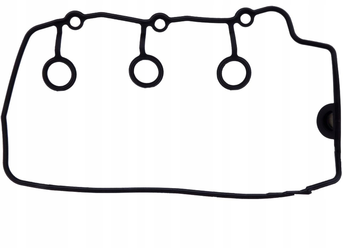 Tesnenie krytu ventilu Honda Gl 1800 Goldwing