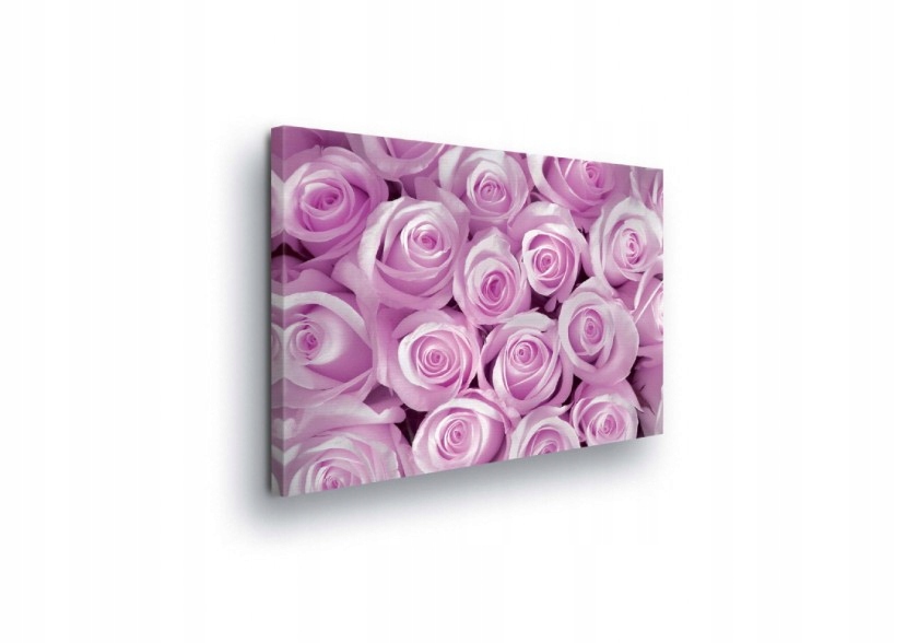 Obraz 100x75 Růže růžové pupeny květinový vzor jemnost příroda klid
