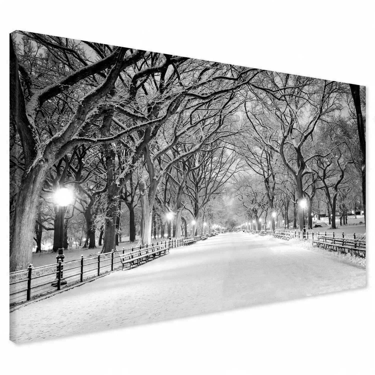 

Obraz na płótnie zima park drzewa 70x50