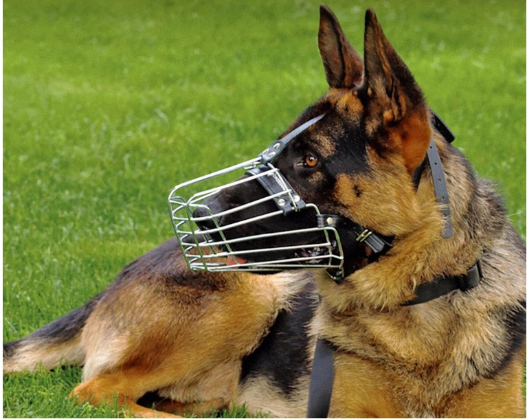 Bronzedog Drátěný náhubek pro velké psy Velikost L, nastavitelný, kovový