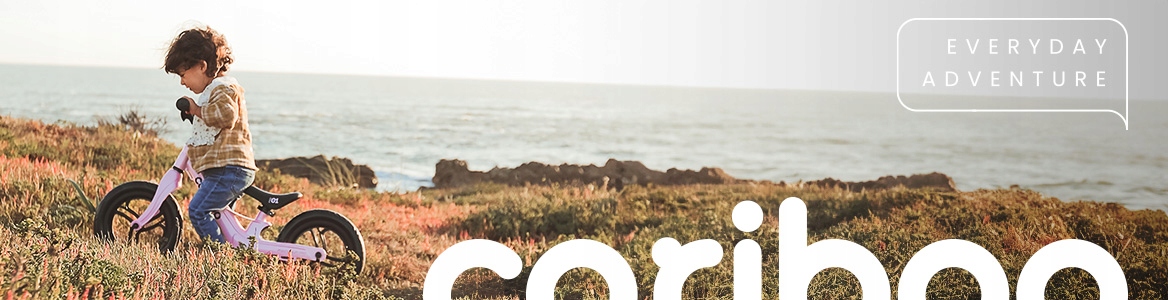 Rowerek biegowy CARIBOO Magnesium Pro Rozmiar koła w calach 12