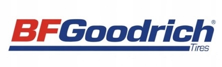 2x BFGOODRICH G FORCE WINTER 195/55R15 85 H Sezon zimowe