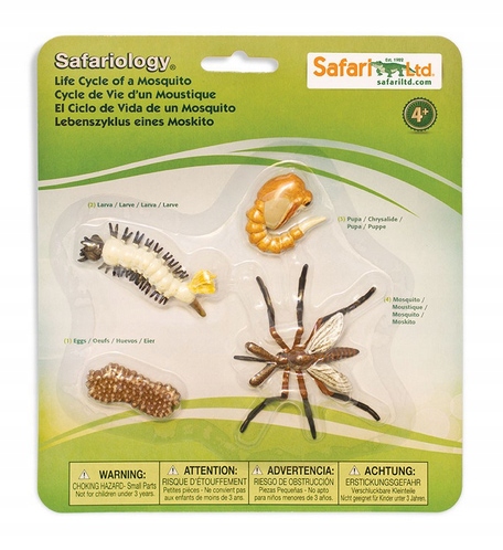 

Safari Ltd Cykl życia Komara Montessori