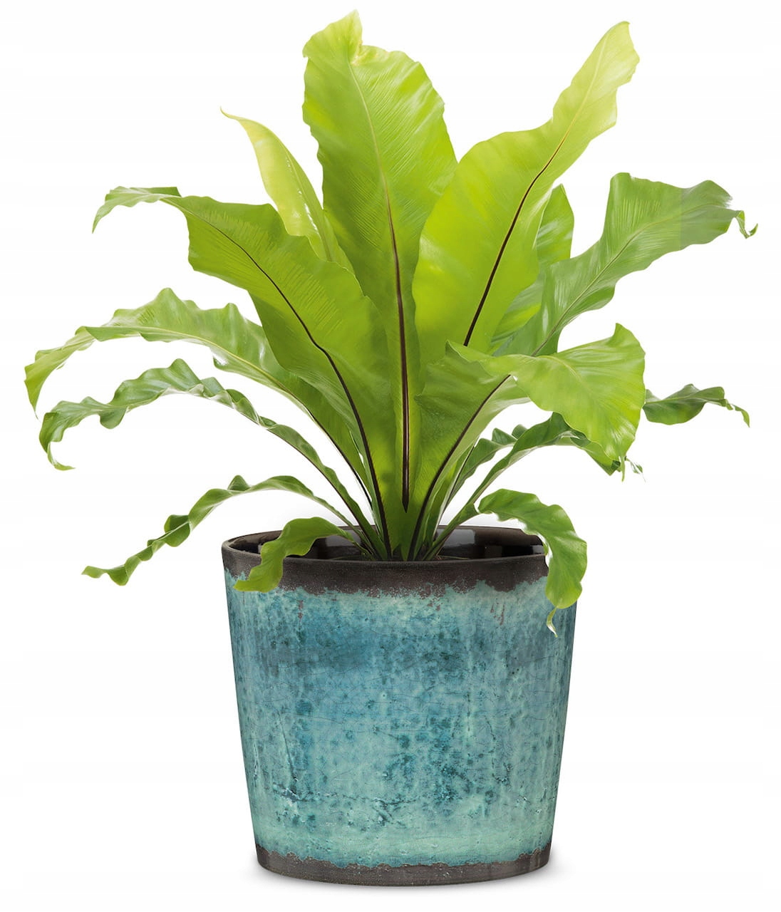 Niebieska osłonka na doniczkę 21 Scheurich donica Kolor odcienie niebieskiego