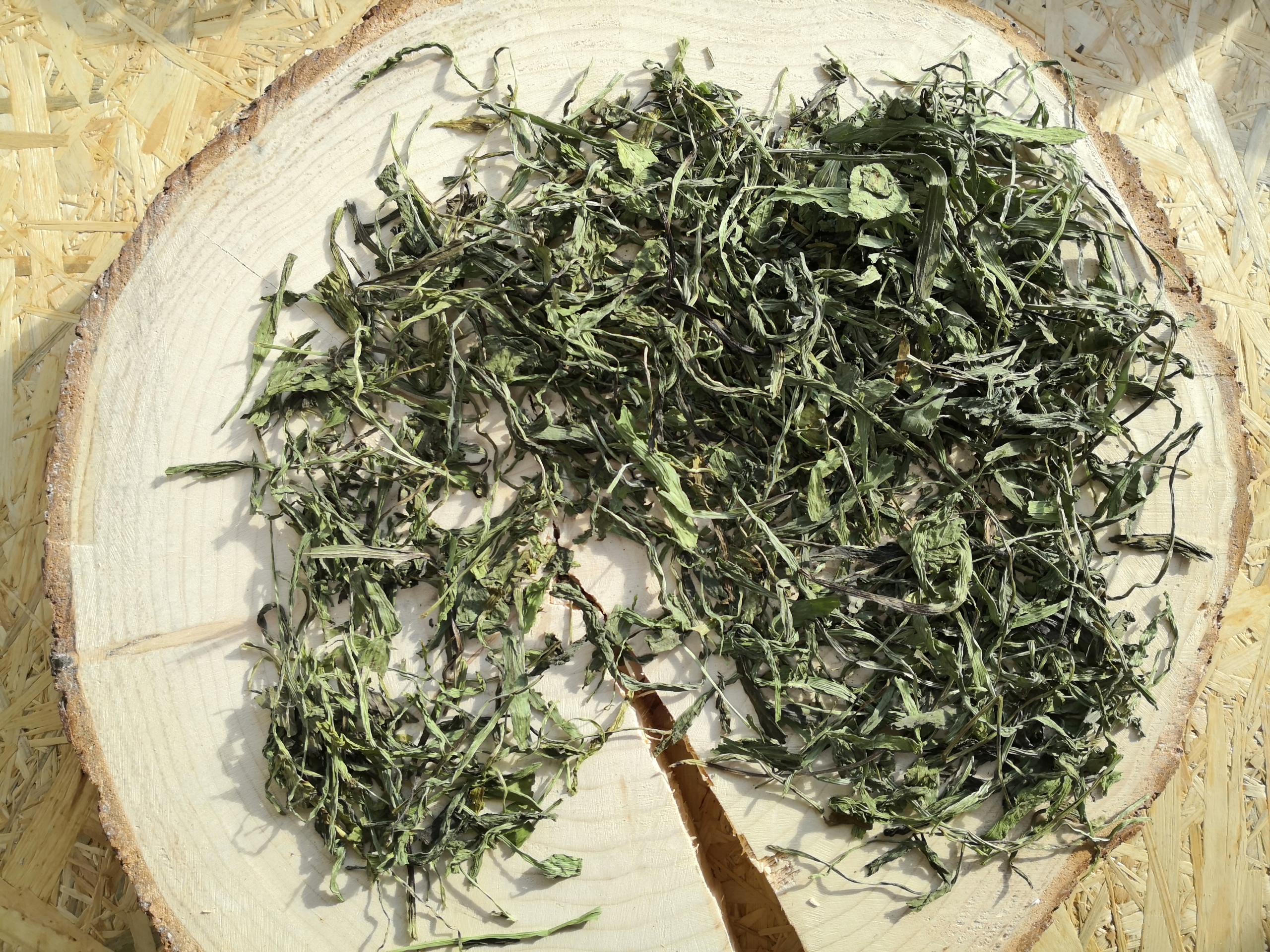 

Babka lancetowata liść suszony dla królików 1000 g