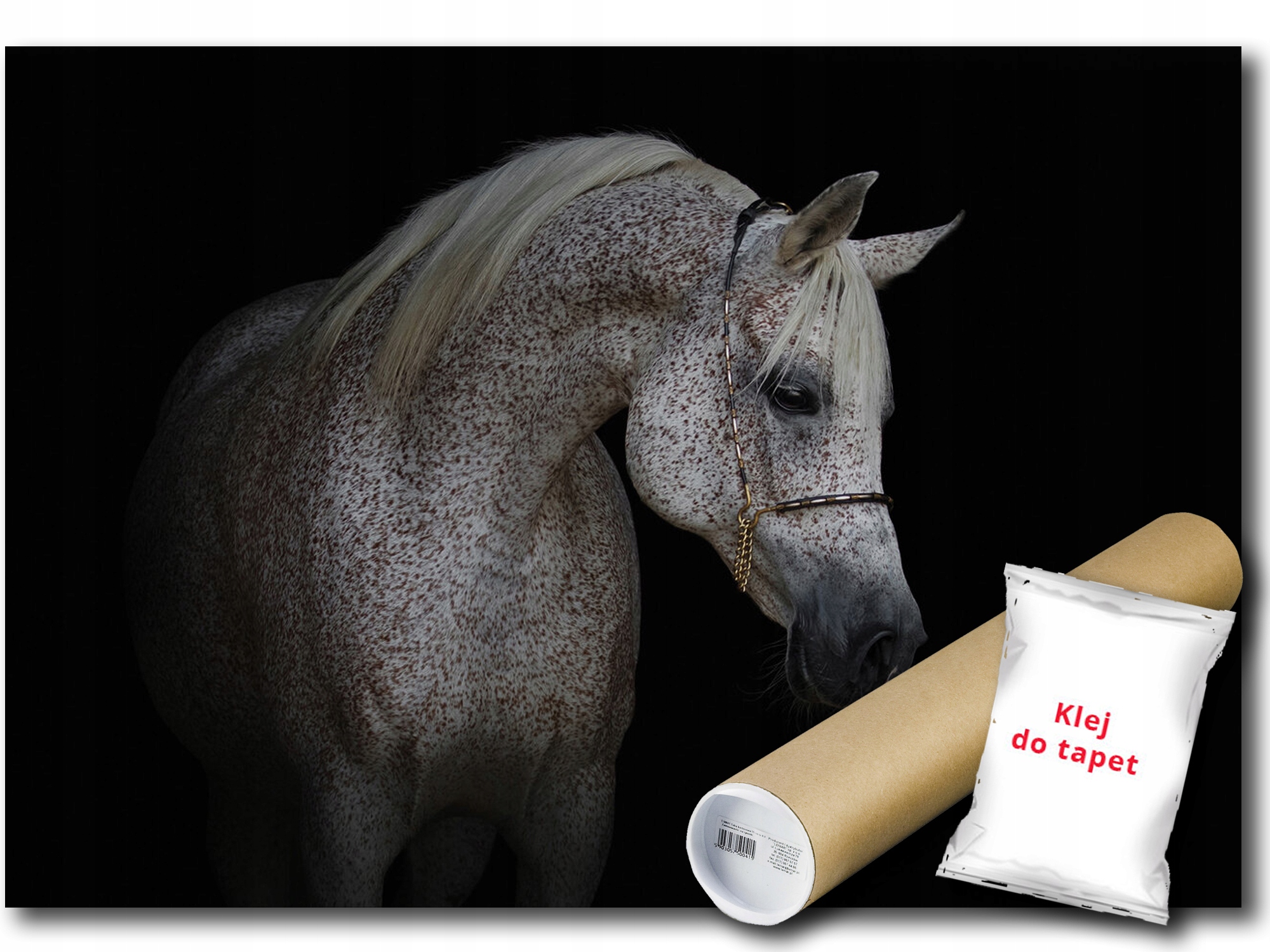 Vinylová Fototapeta Kůň Portrét Příroda Fauna Zvíře 416x290